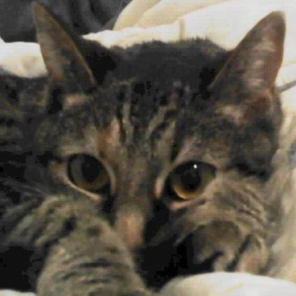 Meet your Posher, Christine